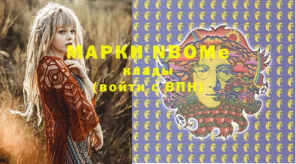 гашик Туринск