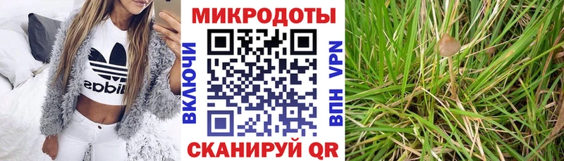 Псилоцибиновые грибы прущие грибы  Верхняя Тура 